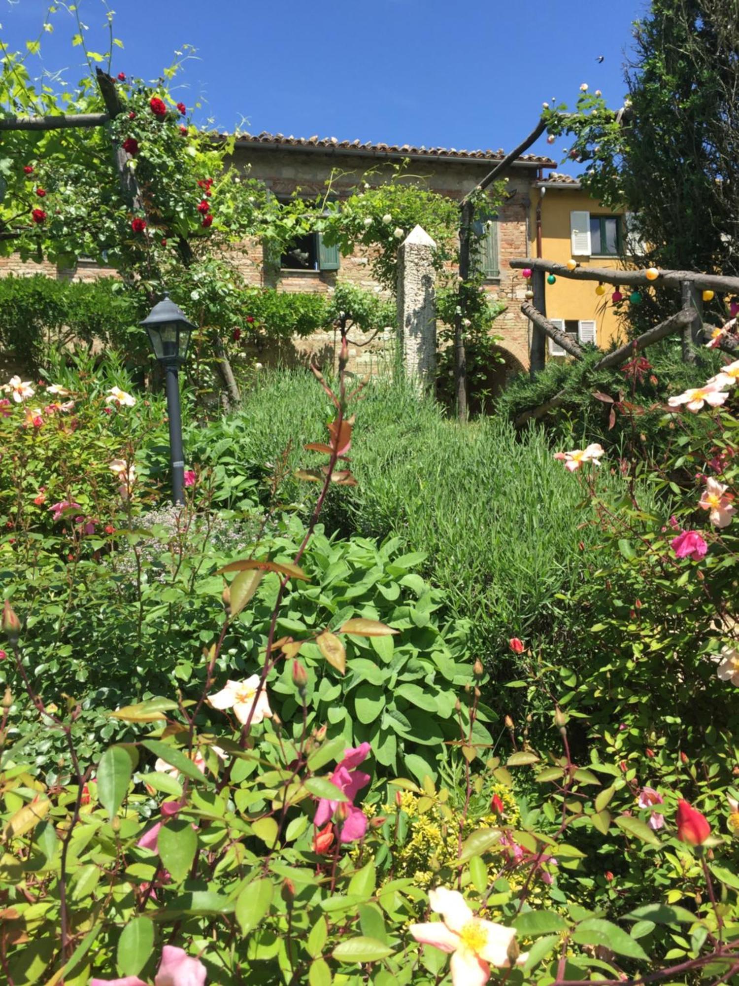 Il Broglino Villa Todi Ngoại thất bức ảnh