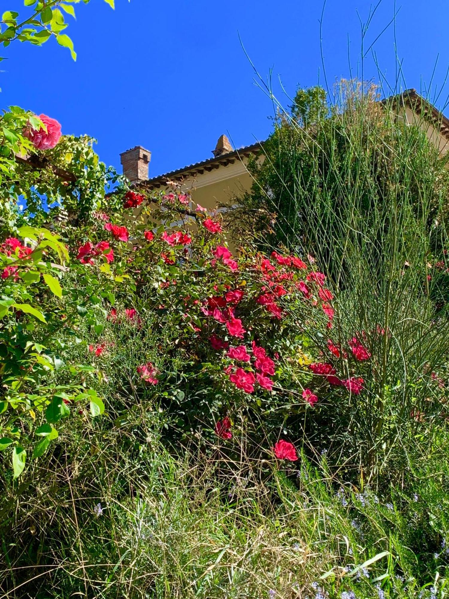 Il Broglino Villa Todi Ngoại thất bức ảnh