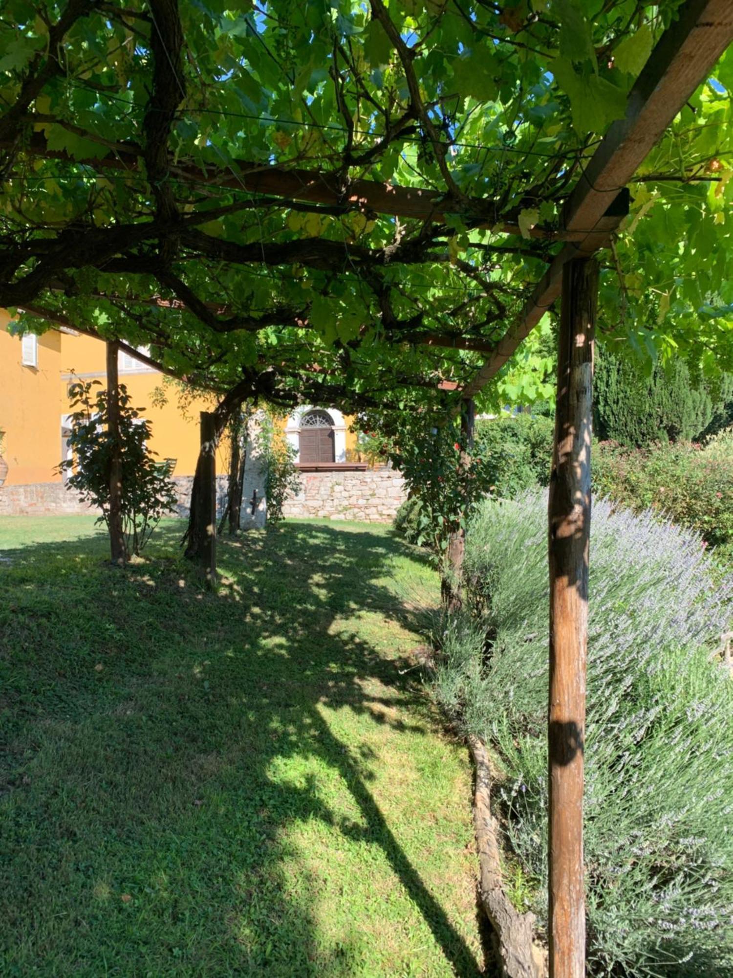 Il Broglino Villa Todi Ngoại thất bức ảnh